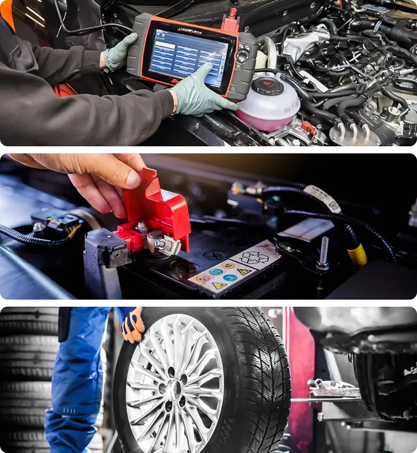 C&F Services