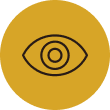 Our Vision Icon