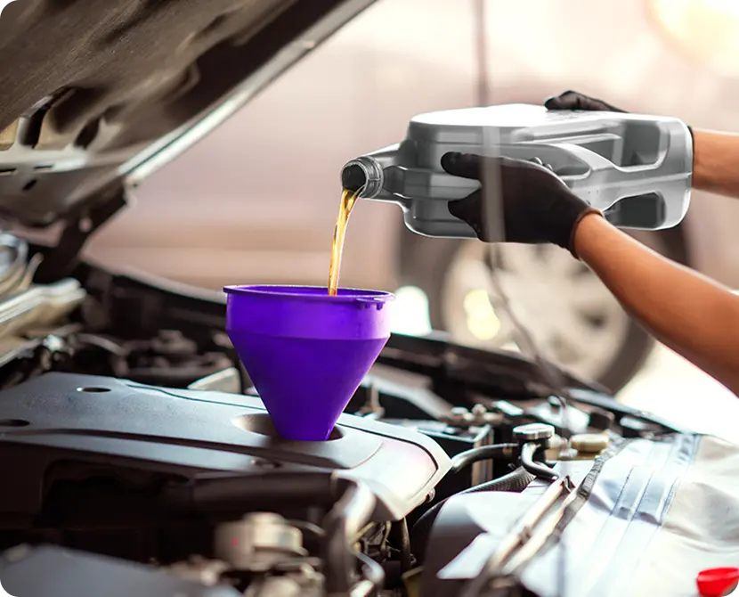 Oil Change & Maintenance